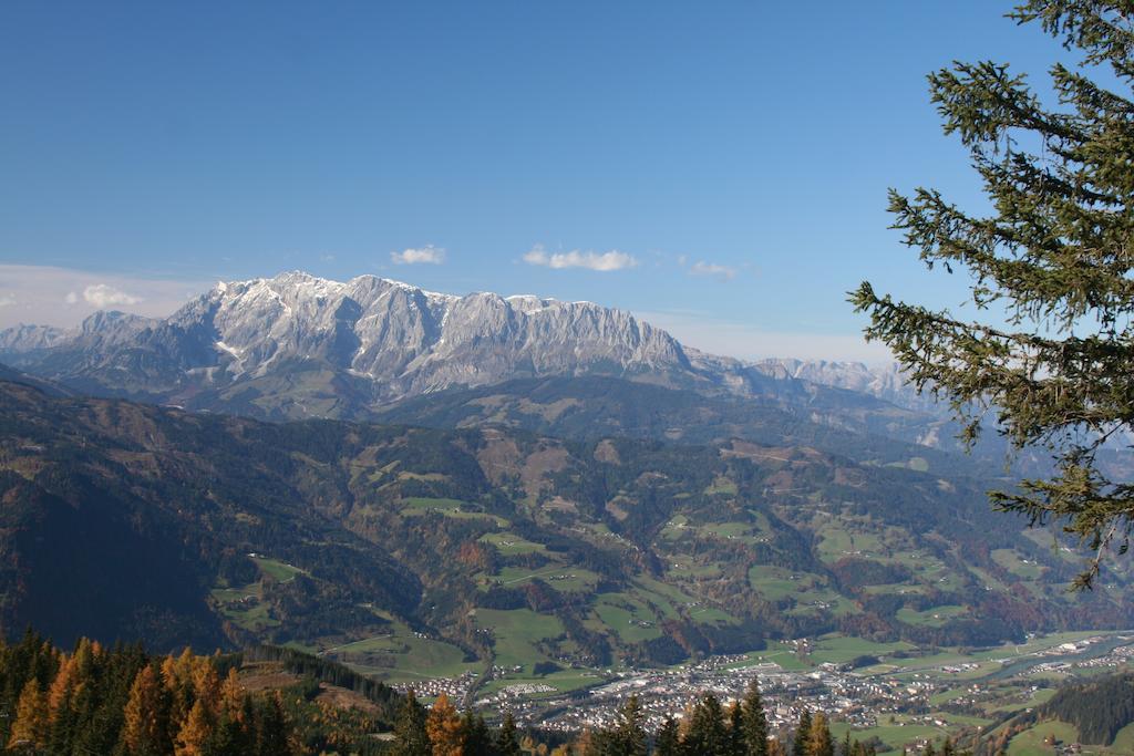 Palfnerhof Appartements Sankt Johann im Pongau Cameră foto